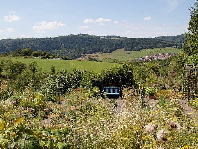 Blick auf eine grüne Landschaft mit Blumen, Büschen und Hügeln unter blauem Himmel mit Wolken